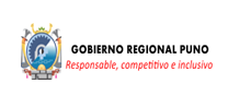 Gobierno regional puno