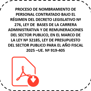PROCESO DE NOMBRAMIENTO DE PERSONAL CONTRATADO BAJO EL RÉGIMEN DEL DECRETO LEGISLATIVO Nª 276